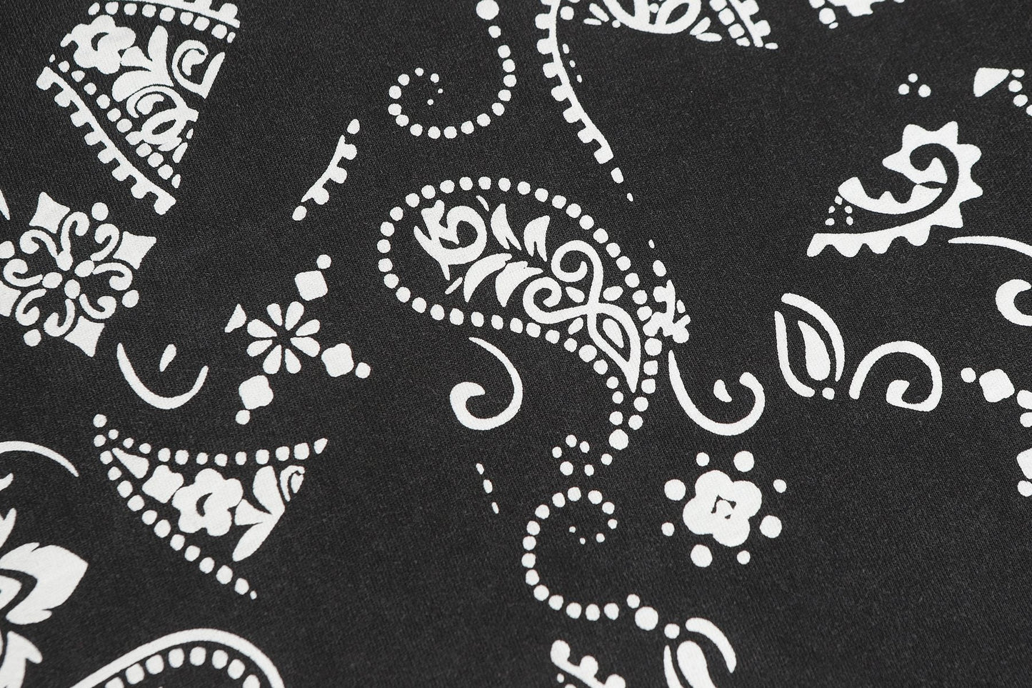 Godspeed Hollywood Graphic Long-Sleeve T-Shirt — detail