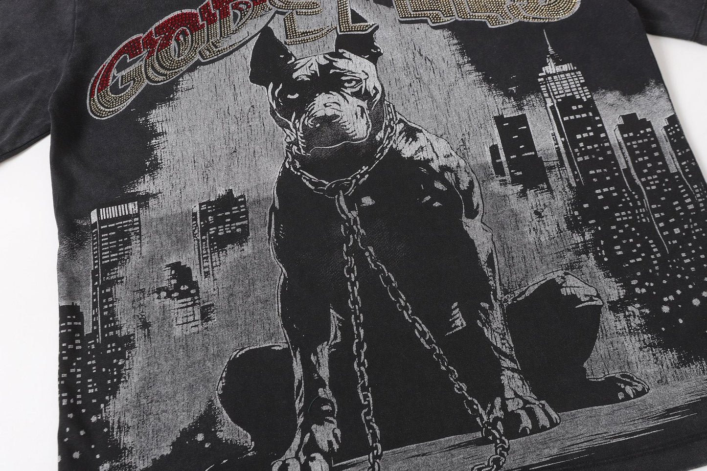 Godspeed Dog Graphic Distressed Sleeve T-Shirt — detail