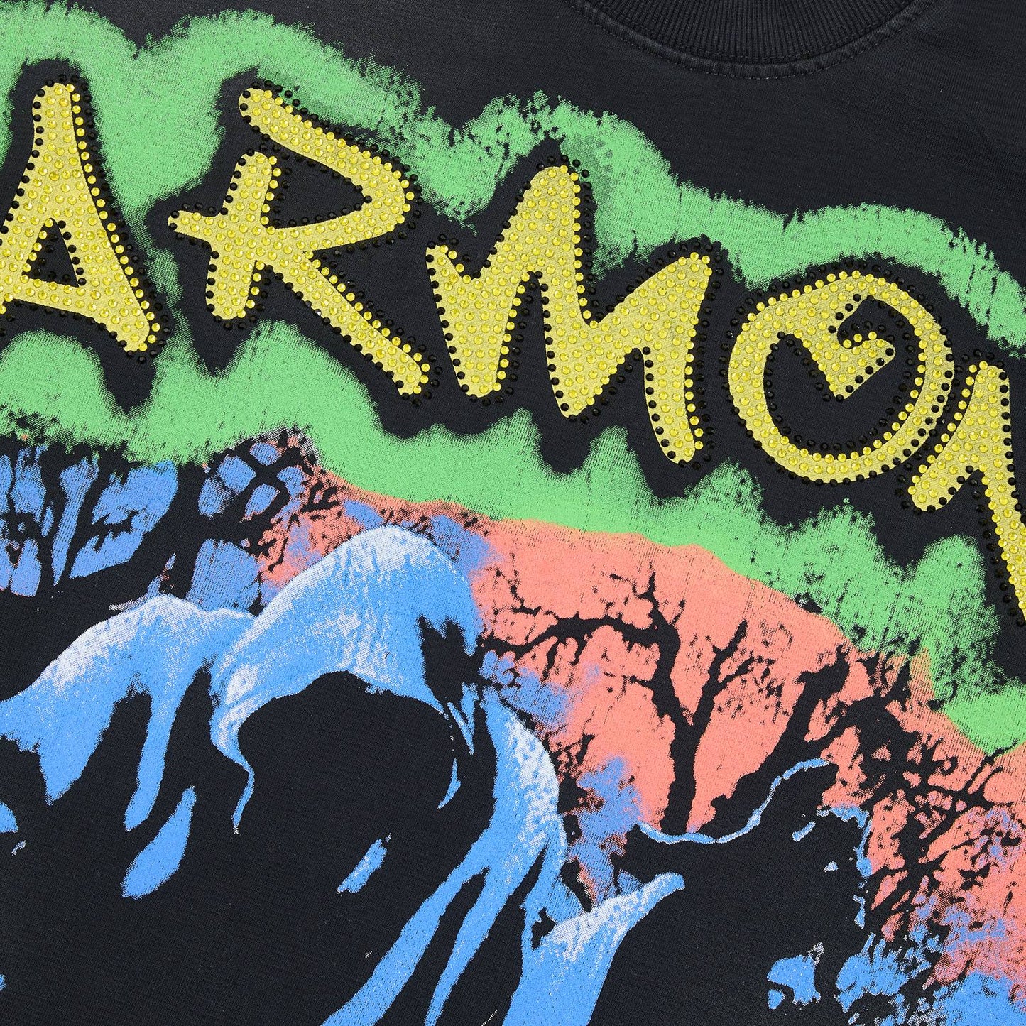 HARMONY Raw-Edge Graphic T-Shirt — detail