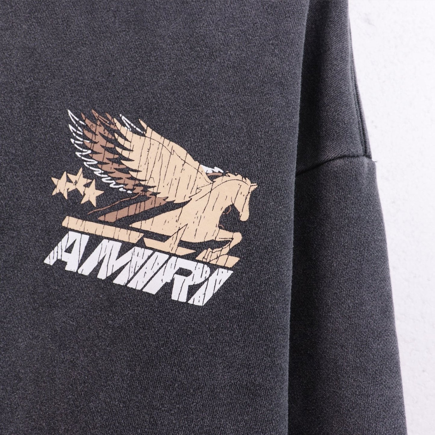 AMIRI Pegasus Graphic Hoodie — detail
