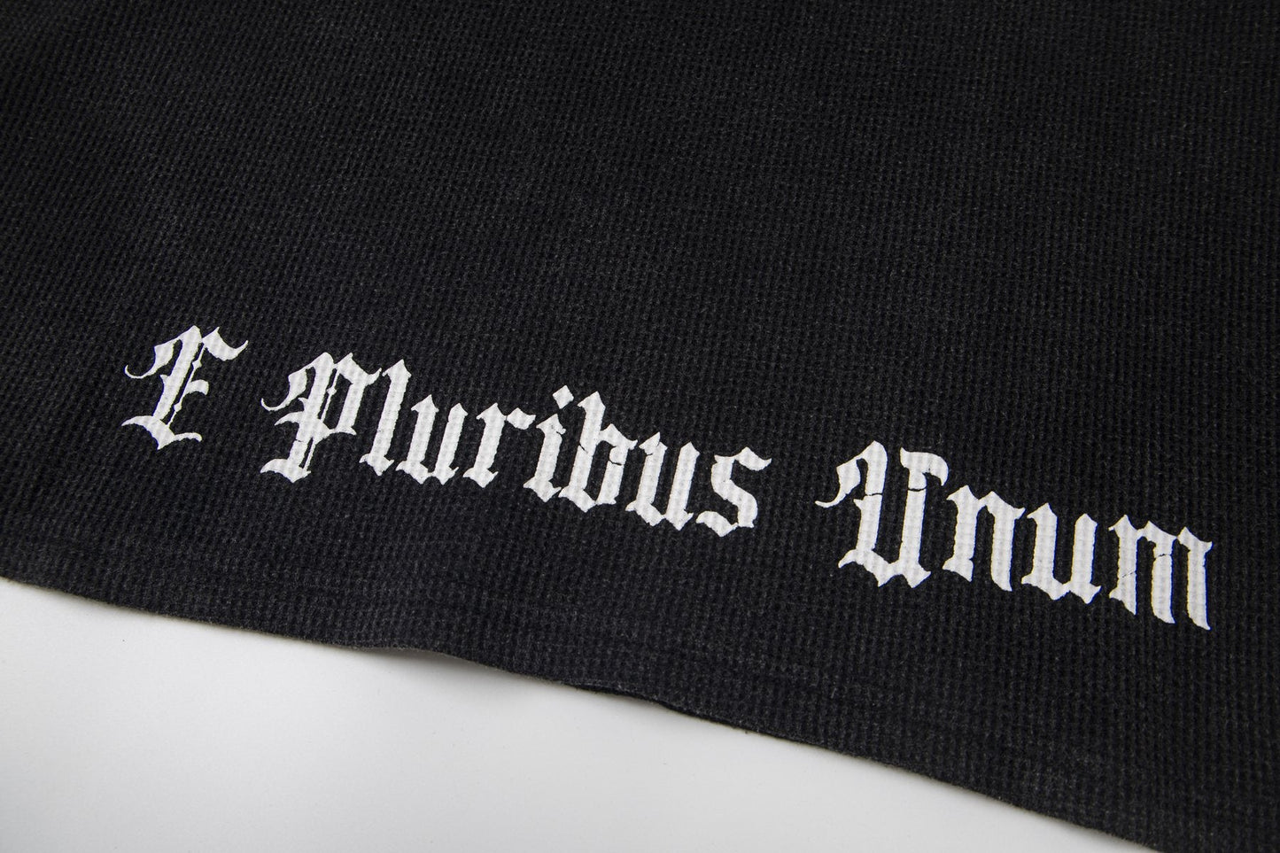 Godspeed E Pluribus Unum Graphic Long-Sleeve T-Shirt — detail