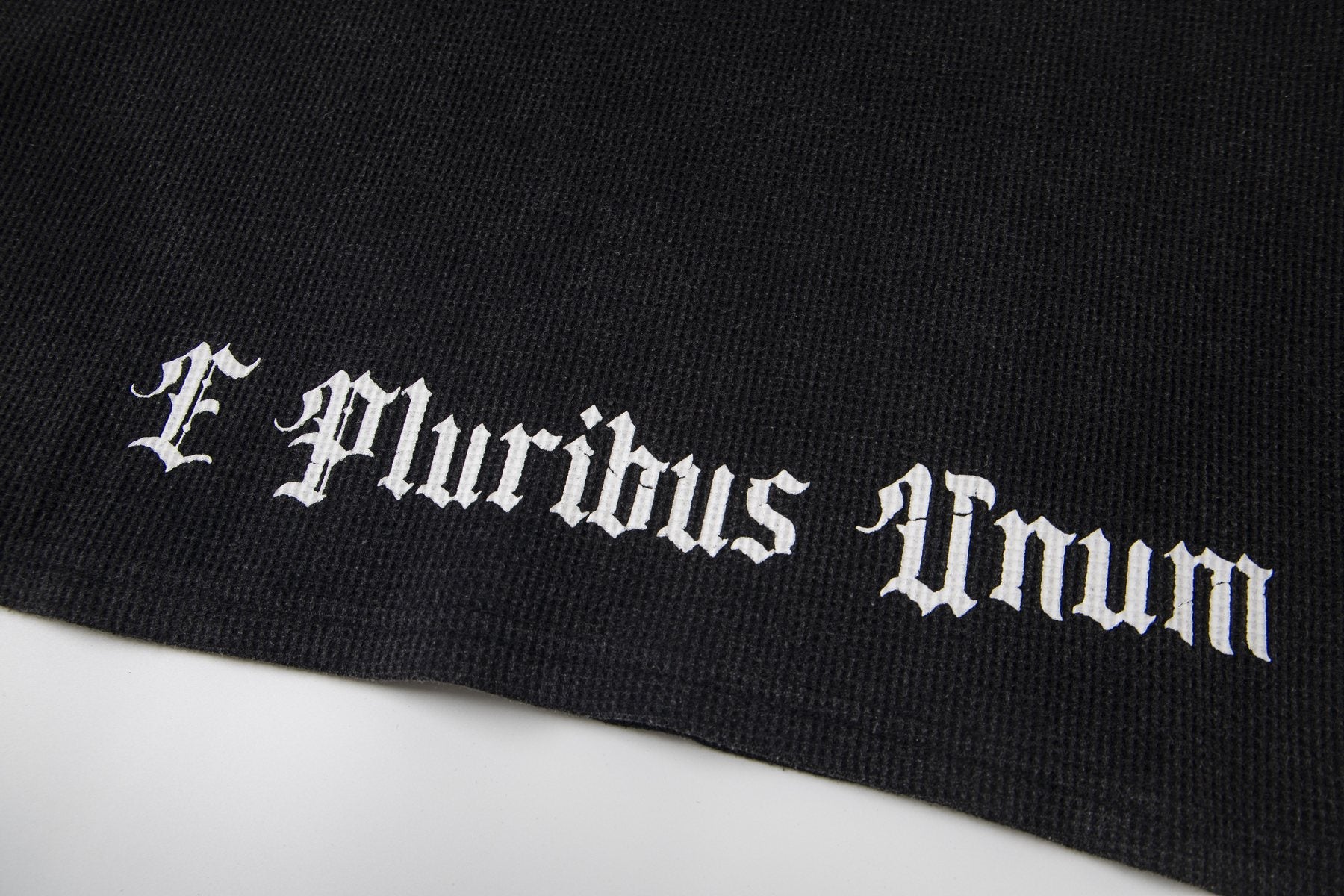 Godspeed E Pluribus Unum Graphic Long-Sleeve T-Shirt — detail