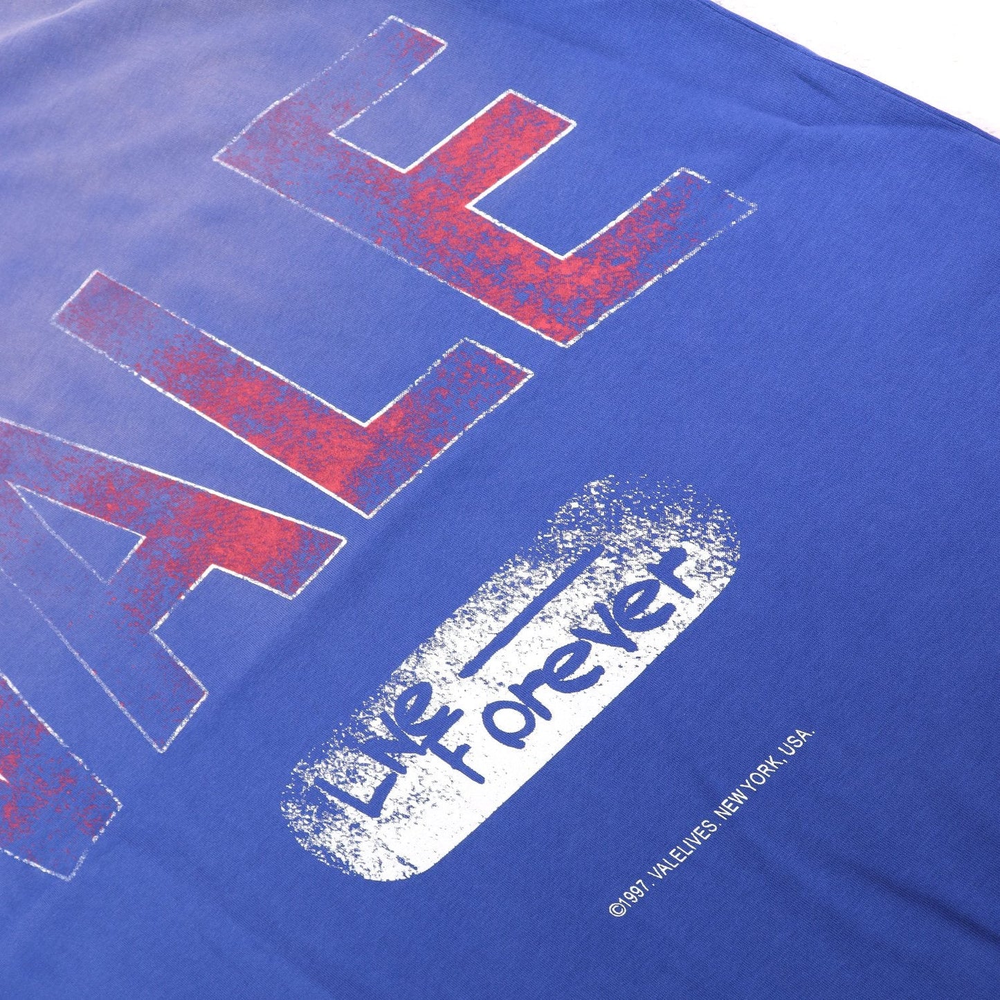 Valley Dreams Live Forever Distressed Graphic T-Shirt — detail