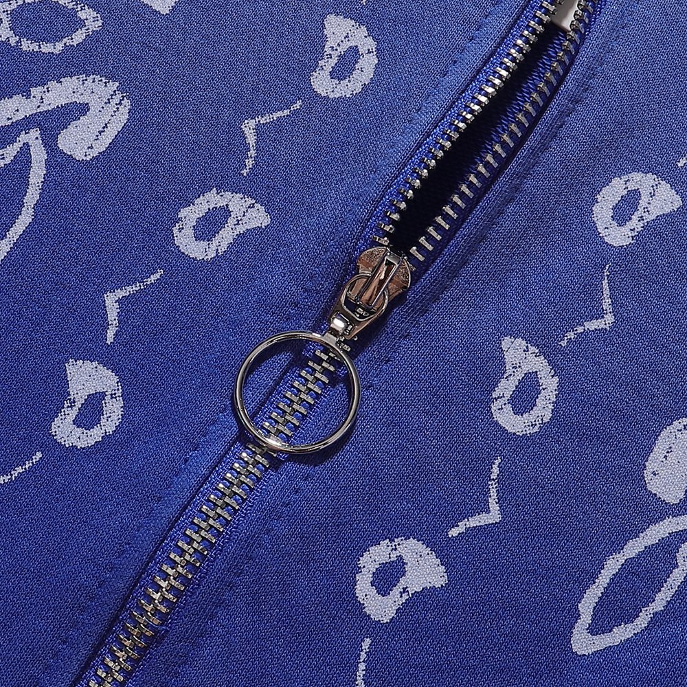VALE USA Paisley Print Zip Hoodie — detail