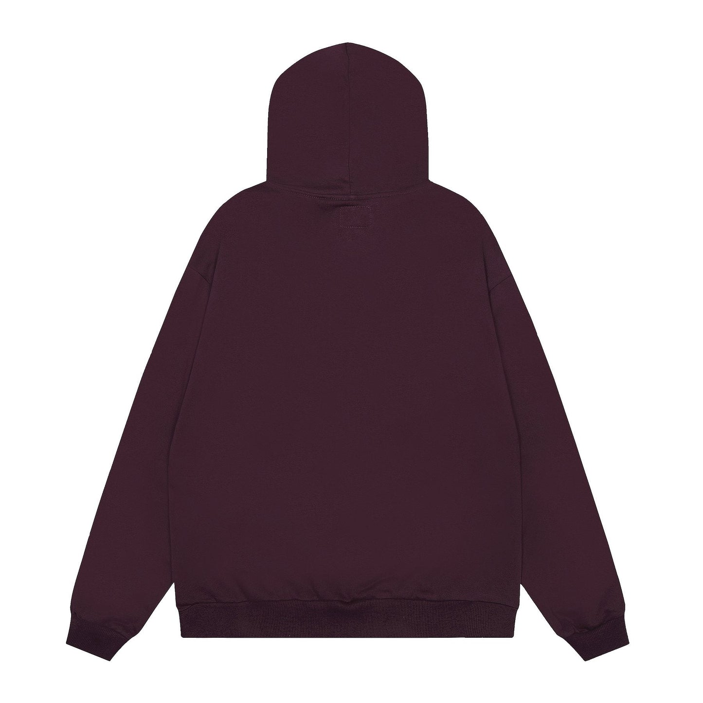 Sp5der Spiderweb Graphic Pullover Hoodie — back