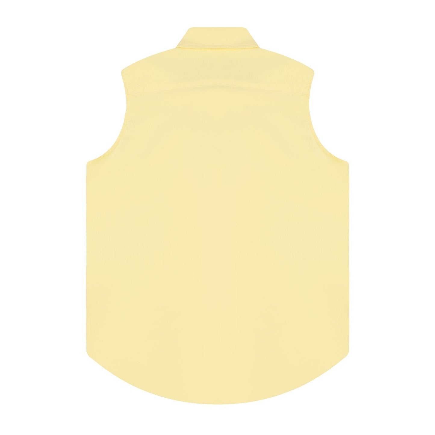 Test2-Ralph Lauren Sleeveless Oxford Button-Front Shirt — back